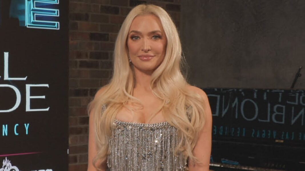 Erika Jayne Sends Message to Her Critics as She Reclaims Music Career