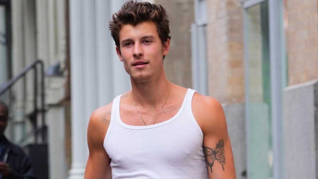 Shawn Mendes Drops Powerful New Song 'What The Hell Are We Dying For?'